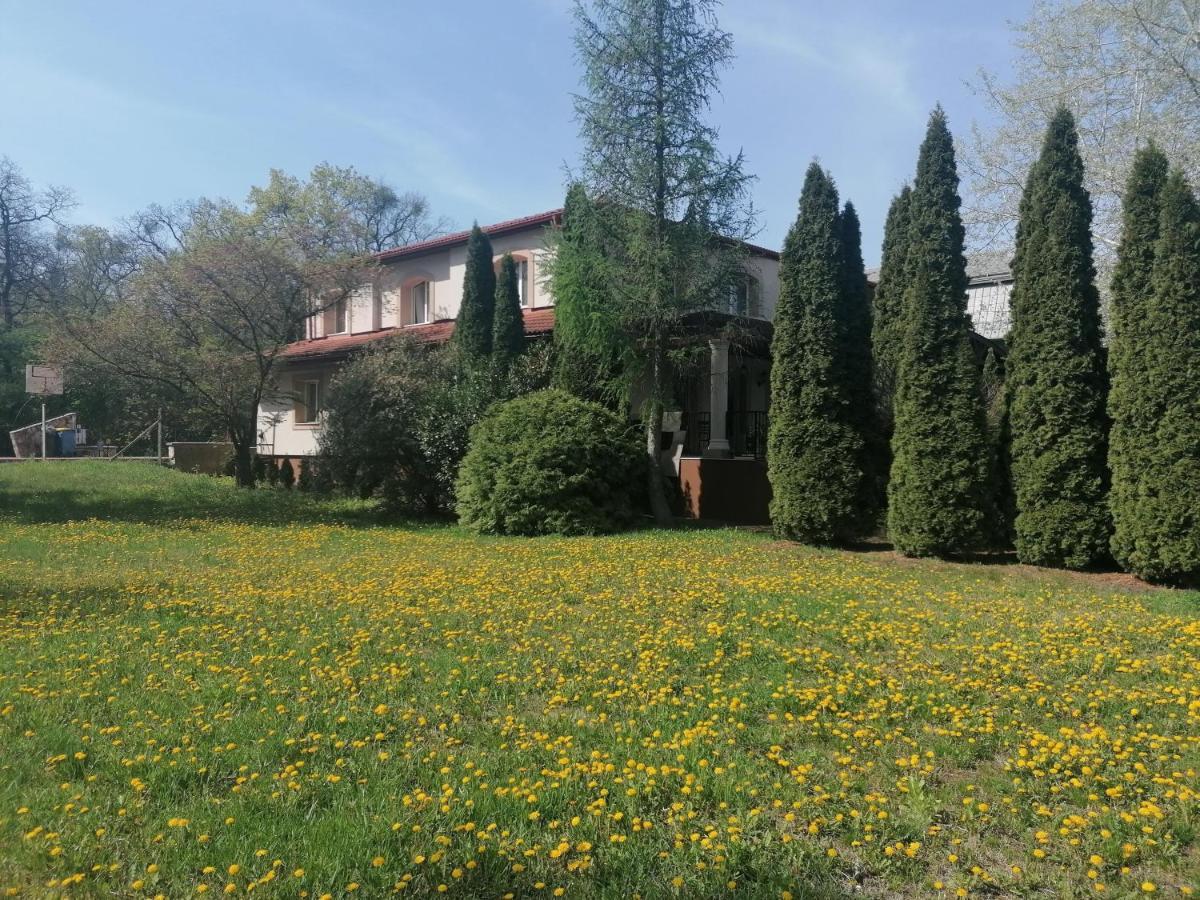 Bed and Breakfast Staff House Nyíregyháza Zewnętrze zdjęcie