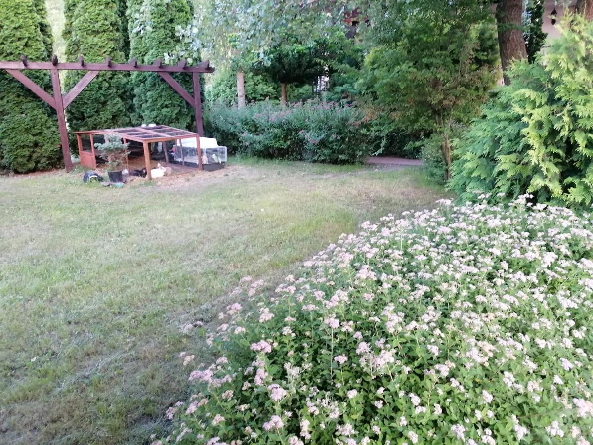 Bed and Breakfast Staff House Nyíregyháza Zewnętrze zdjęcie
